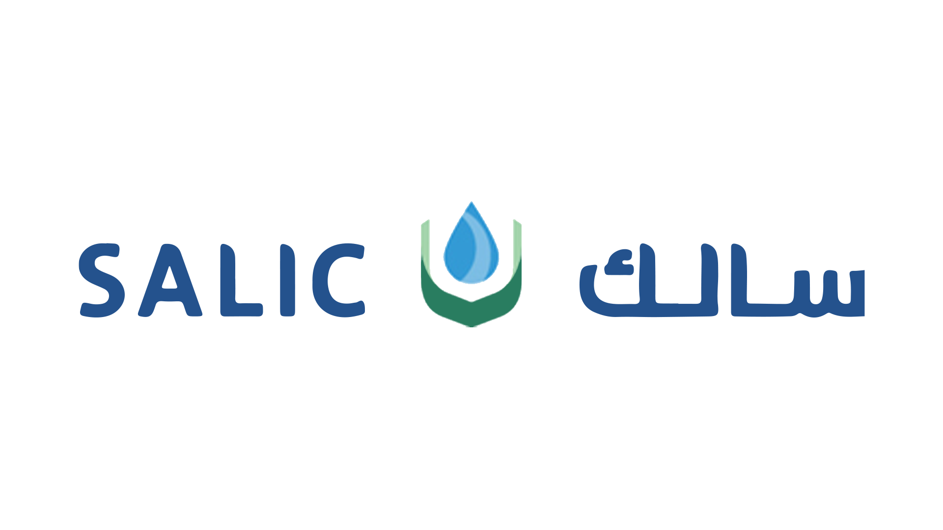 Salic - Invoice Management Platform upgraded to Node 24